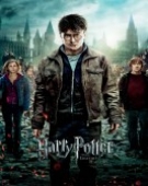 poster_harry-potter-and-the-deathly-hallows-part-2_tt1201607.jpg Free Download