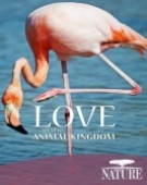 poster_nature-love-in-the-animal-kingdom_tt3383556.jpg Free Download