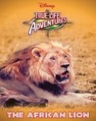 poster_the-african-lion_tt0047803.jpg Free Download