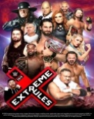 poster_wwe-extreme-rules-2019_tt10544936.jpg Free Download